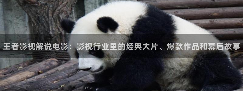 神马电影原来神马电影网首页：王者影视解说电影：影视行业里的经典大片、爆款作品和幕后故事