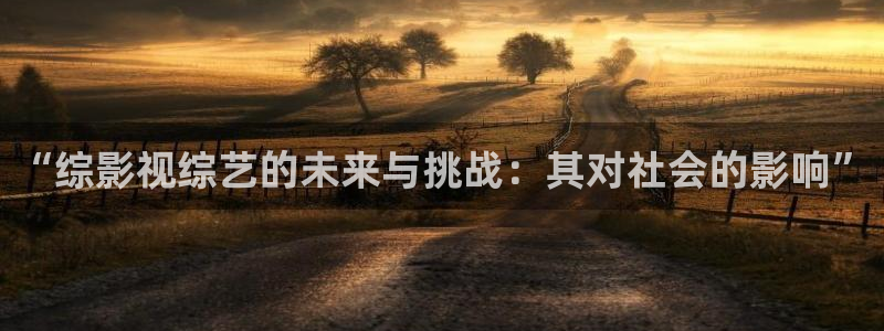 日本神马电影院：“综影视综艺的未来与挑战：其对社会的影响”