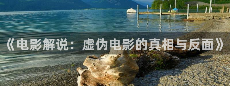 第九神马影院在线：《电影解说：虚伪电影的真相与反面》