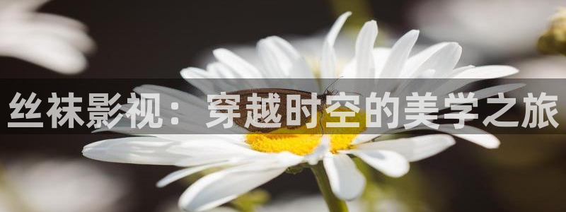 神马影院在线观看持：丝袜影视：穿越时空的美学之旅