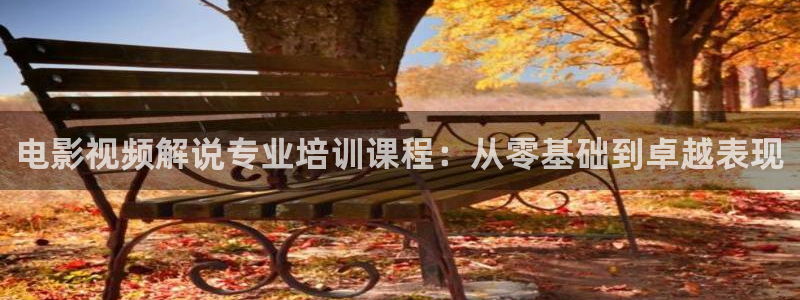 神马影院理论在线观看