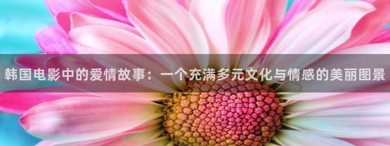 日本神马黄色影院：韩国电影中的爱情故事：一个充满多元文化与情感的美丽图景