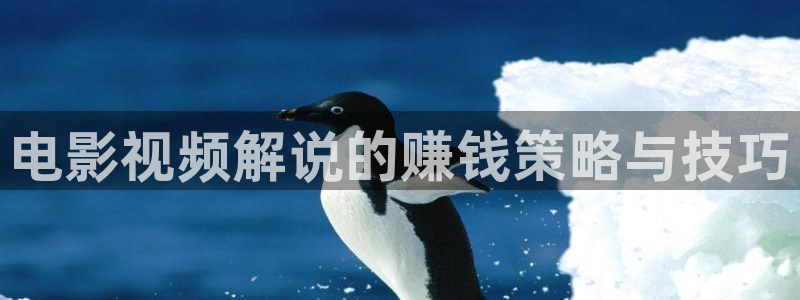 善良的女秘书神马影院：电影视频解说的赚钱策略与技巧