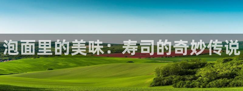 达达兔神马桥矿影院：泡面里的美味：寿司的奇妙传说