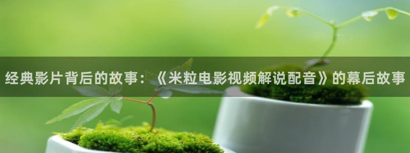 类似神马电影的网站：经典影片背后的故事：《米粒电影视频解说配音》的幕后故事