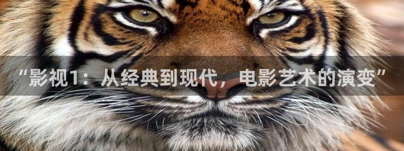 神马不卡影视：“影视1：从经典到现代，电影艺术的演变”