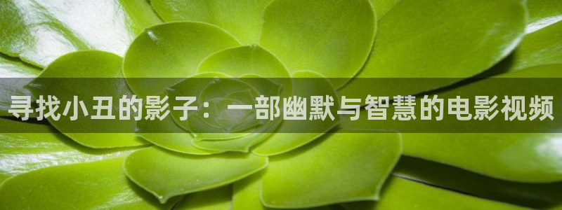 神马电影手机高清在线观看：寻找小丑的影子：一部幽默与智慧的电影视频