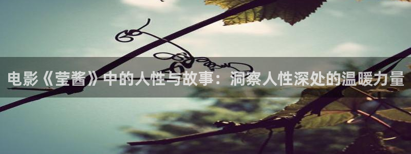 韩国伦理神马影院：电影《莹酱》中的人性与故事：洞察人性深处的温暖力量