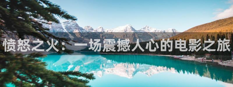 神马电影九：愤怒之火：一场震撼人心的电影之旅