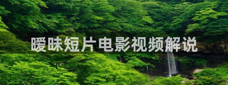 神马电影午夜欧美