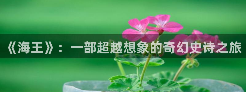 神马午夜电影在线播放