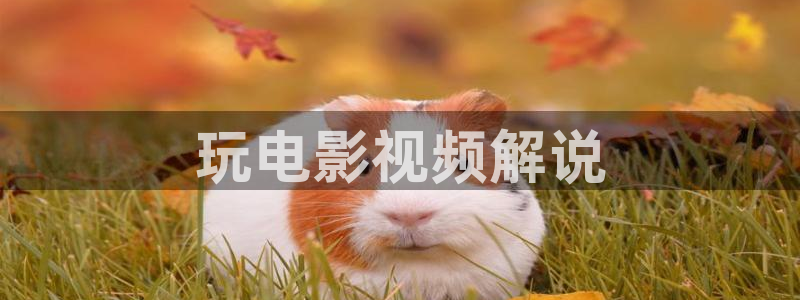 神马电影网我不卡院