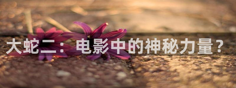 神马影院琪琪