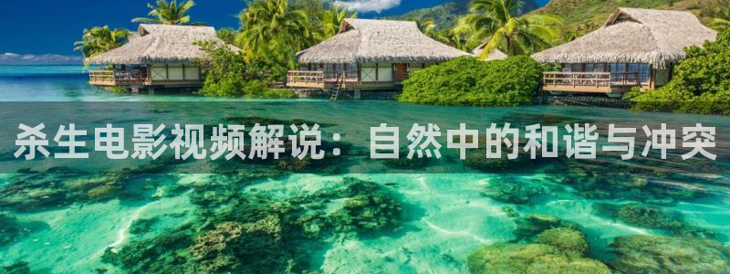 神马午夜我不卡