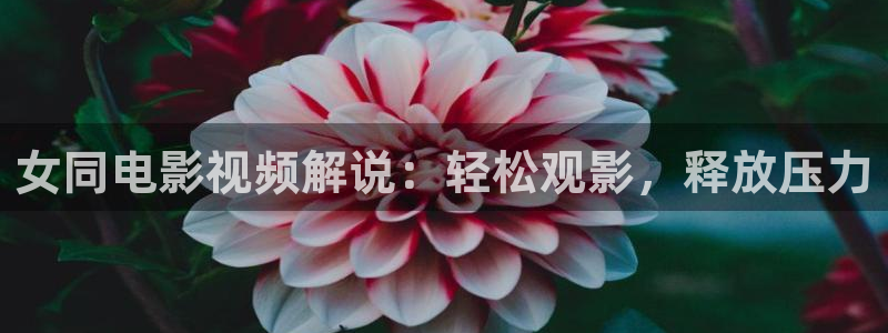 神马影视午夜6080