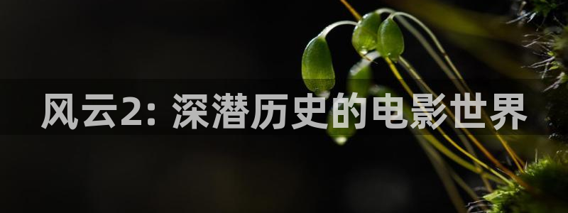 神马影院电视剧免费观看完整版