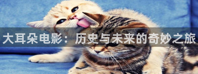 我不卡电影神马