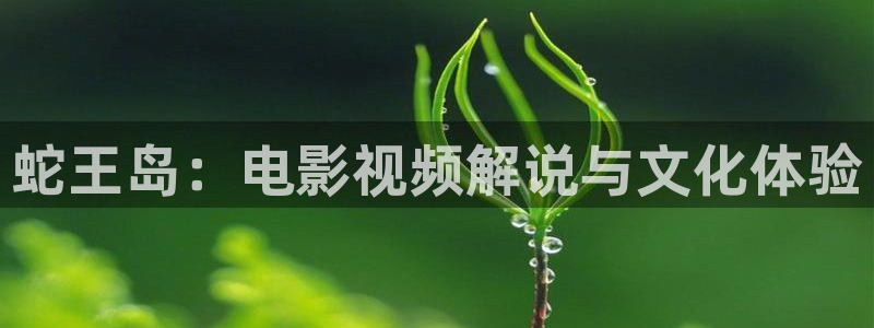 神马电影院免费观看