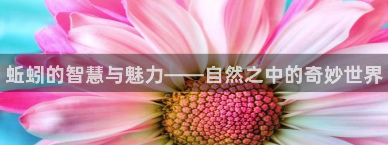 神马影片不卡