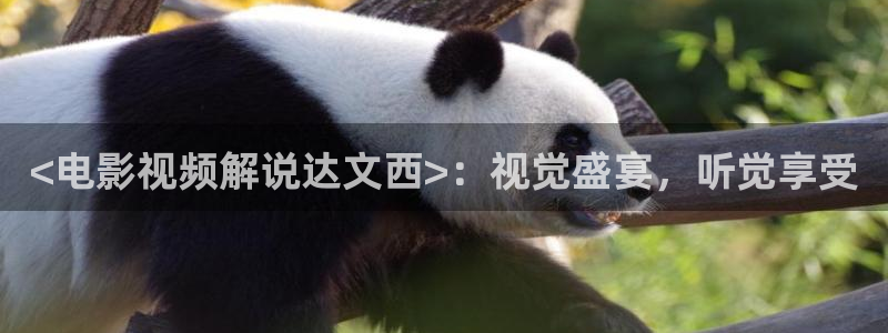 神马电影西瓜