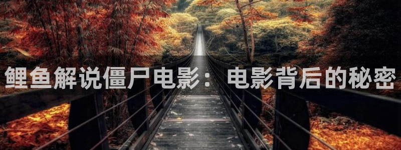 神马影院伦理我不卡1