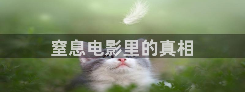 一席神马影院