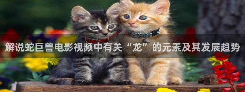 原来神马电影正版观看平台