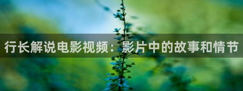 神马影院手机在线视频播放