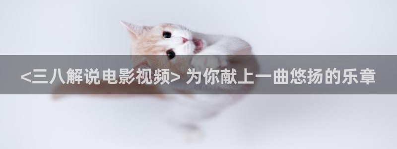 神马888影视