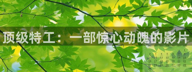 91神马影院在线观看