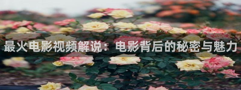 51神马影院