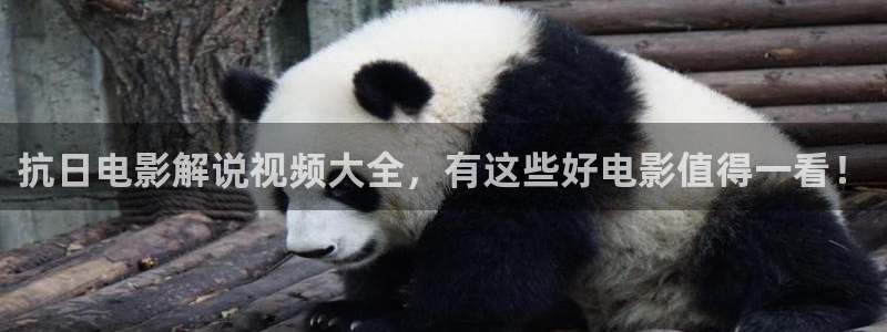 神马影视伦理手机