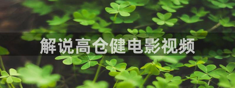 天堂网神马影院